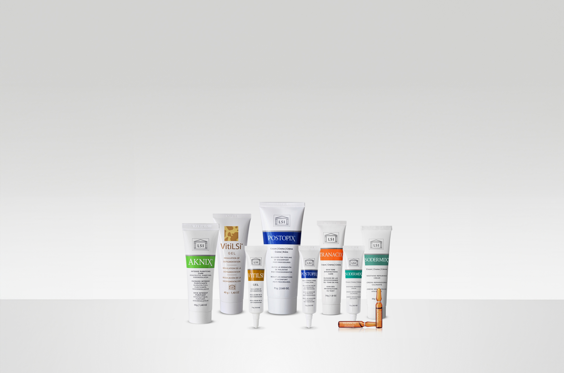 Lsi Productos Lsi Productos